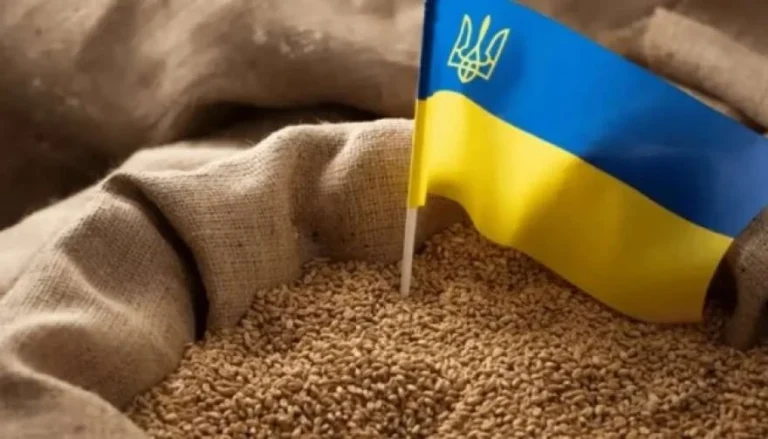 Експорт українських зернових перевищив 2,6 млн тонн