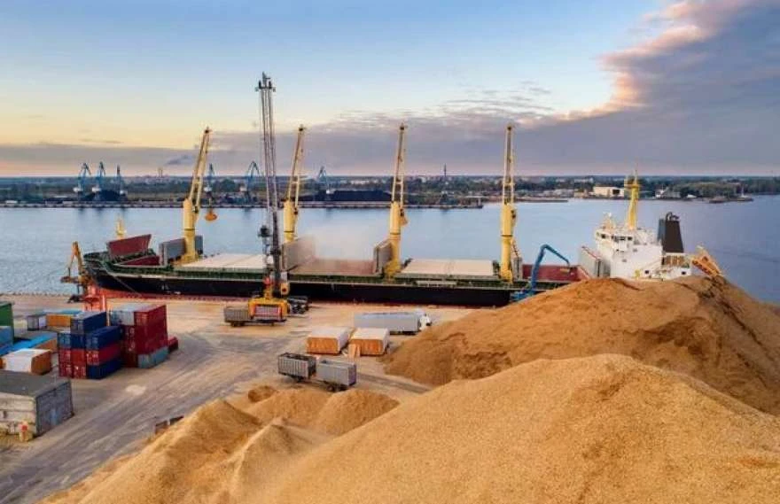 Україна без морського коридору зможе забезпечити не більше половини необхідного експорту зерна