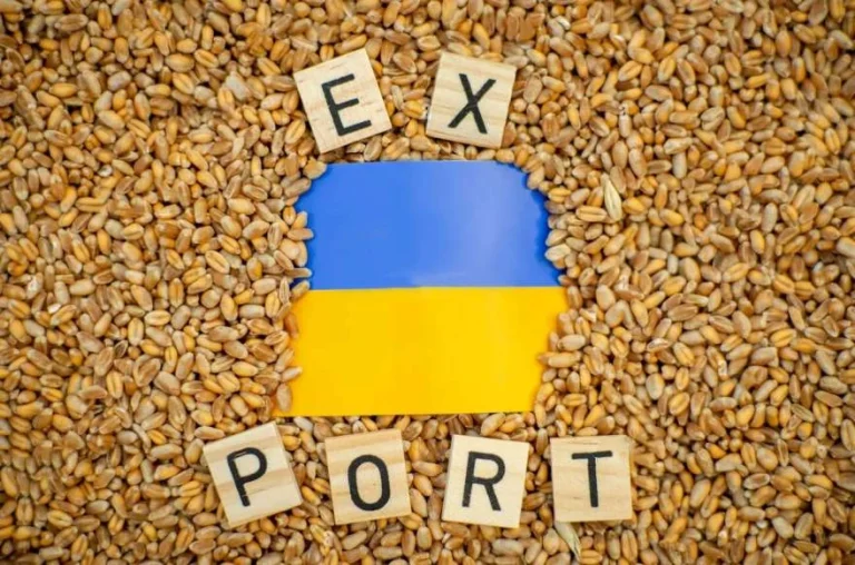 Осипов: без відновлення експорту аграрії можуть скоротити посівні площі
