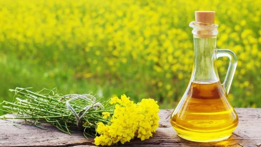 Експорт ріпакової олії з України зріс у 2,5 раза, валютна виручка - до $588 млн